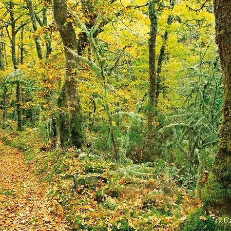 Hotel Rural Oscos 2*